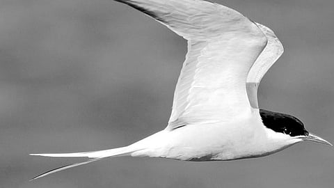 70 ஆயிரம் கி.மீ. பயணம்!