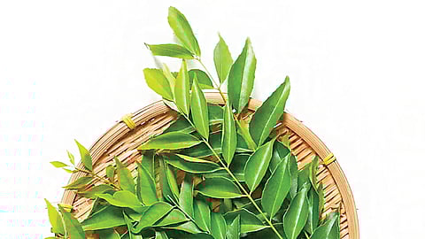 பாட்டி வைத்தியம்...