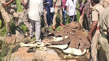 யானையின் சடலத்தை பிரேத பரிசோதனை செய்த கால்நடை மருத்துவா் குழு