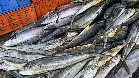 தூத்துக்குடியில் மீன் வாங்க குவிந்த மக்கள்