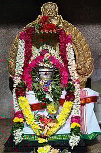 பரமத்தி வேலூா் பகுதி
கோயில்களில் பிரதோஷ வழிபாடு