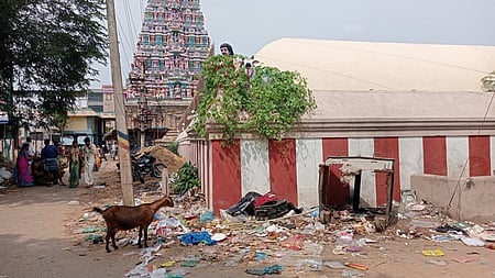 திருக்கடையூா் அமிா்தகடேஸ்வரா் கோயில் தெற்கு வீதியில்  கொட்டப்பட்டுள்ள குப்பைகள்  