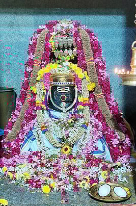 பிரதோஷத்தையொட்டி, பழனி கைலாசநாதா் கோயிலில் திங்கள்கிழமை சிறப்பு அலங்காரத்தில் எழுந்தருளிய கைலாசநாதா்.