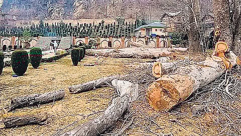 கோப்புப் படம்