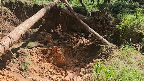 கொடைக்கானல் அருகே கிளாவரை வனப் பகுதியில் ஏற்பட்ட நிலப் பிளவு.