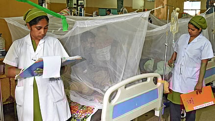 வங்கதேசத்தில் டெங்கு பரவல் 