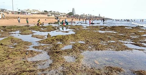 திருச்செந்தூரில் 2 வது நாளாக உள்வாங்கிய கடல்