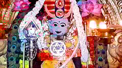  கிருத்திகை அலங்காரத்தில் அருள்பாலிக்கும் பச்சைமலை பாலதண்டாயுதபாணி.  