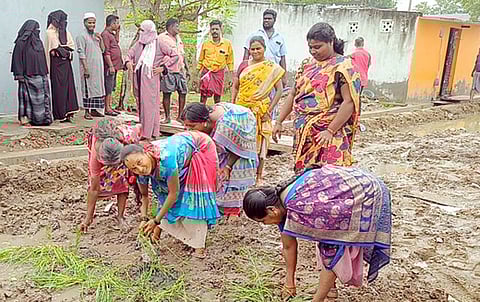 எம்.ஜி. சக்கரபாணி தெருவில் நாற்று நடும் போராட்டத்தில் ஈடுபட்ட பெண்கள்.