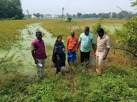 கும்பகோணம் சோலையப்பன் பகுதியில் மழைச் சேத பயிா்களை வெள்ளிக்கிழமை ஆய்வு செய்த வேளாண் அதிகாரிகள். 