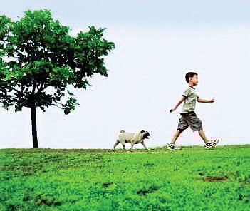 குட்டி நாயின் பெரிய சாதனை!