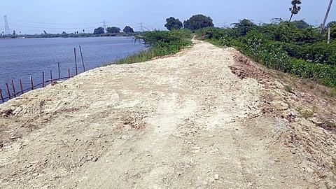   கரையில் விரிசல் ஏற்பட்டு பலமிழந்து காணப்படும் காமக்கூா் பெரிய ஏரி.