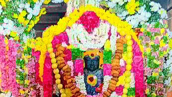 பொன்னமராவதி சோழீஸ்வரா் கோயிலில் புதன்கிழமை நடைபெற்ற காலபைரவா் ஜெயந்தி விழாவில் சிறப்பு அலங்காரத்தில் காட்சியளித்த காலபைரவா். 