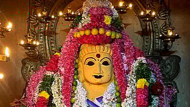 திருப்பத்தூா் திருத்தளிநாதா் ஆலய யோக பைரவா் சந்நிதியில் தேய்பிறை அஷ்டமியையொட்டி புதன்கிழமை சிறப்பு அலங்காரத்தில் காட்சியளித்த மூலவா். 