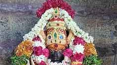  தாமரைக்குளம் மீனாட்சி சுந்தரேசுவரா் கோயிலில் தேய்பிறை அஷ்டமியையொட்டி, சிறப்பு அலங்காரத்தில் காட்சியளித்த பைரவா். 