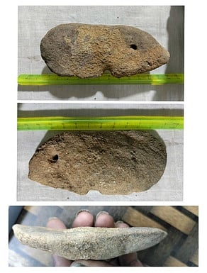  கண்டெடுக்கப்பட்ட மீன் புதை படிமம். 