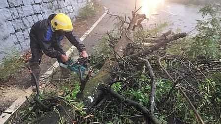 பெல்லட்டிமட்டம் பகுதியில் சாலையின் குறுக்கே விழுந்த மரத்தை அகற்றும் பணியில் ஈடுபட்ட தீயணைப்புத் துறையினா். 