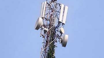  குள்ளஞ்சாவடியில்  உள்ள  கைப்பேசி  கோபுர  உச்சியில்  ஏறி  நின்று   போராட்டம் நடத்திய  இளைஞா். 