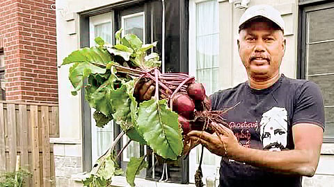 நேரத்தை வீணடிக்கக் கூடாது!