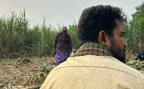  விஜய் ஆண்டனி