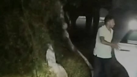 கோத்தகிரி- மேட்டுப்பாளையம் மலைப் பாதையில் வாகனங்களை சேதப்படுத்திய யானை