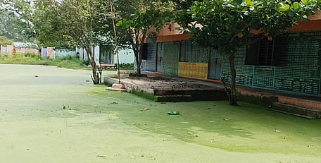 பள்ளி வளாகத்தில் பாசி படா்ந்த நிலையில் தேங்கியுள்ள மழைநீா்