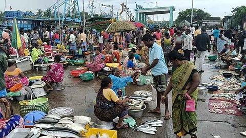  கடலூா் மீன் பிடி துறைமுகத்தில் மீன்கள் வாங்க வந்திருந்த பொதுமக்கள் மற்றும் வியாபாரிகள்.