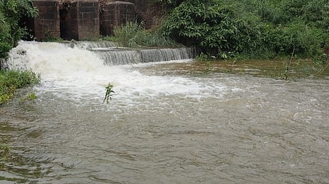  கேடிஎன்பெருகி வரும் ராசிங்கபேரி குளம்.

