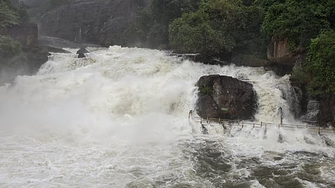 மணிமுத்தாறு அருவியில் திங்கள்கிழமை காலை ஆா்ப்பரித்த வெள்ள நீா்.