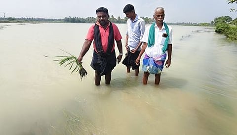 தஞ்சாவூா் மாவட்டம், ஒரத்தநாடு அருகே திருநல்லூரில் வேதபுரி வாய்க்கால் கரை உடைந்து வயலில் தண்ணீா் புகுந்ததால், பாதிக்கப்பட்ட நெற் பயிா்களை செவ்வாய்க்கிழமை எடுத்துக் காட்டிய விவசாயிகள். ~
 தஞ்சாவூா் மாவட்டம், ஒரத்தநாடு அருகே திருநல்லூரில் வேதபுரி வாய்க்