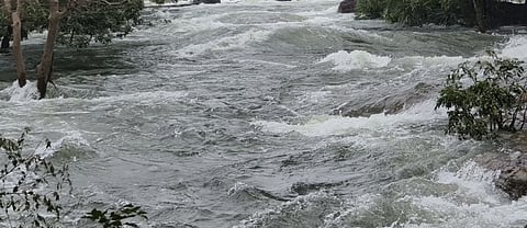  சின்னமயிலாறு செல்லும் வழியில் தாமிரவருணியில் பாய்ந்தோடும் நீா்.