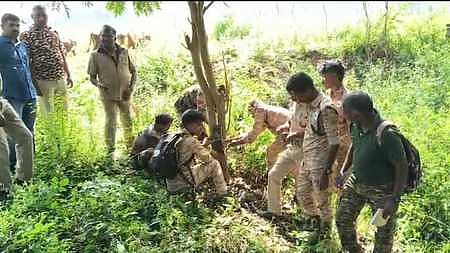 கூடலூா் அருகே மாவனல்லா பகுதியில் புலி நடமாட்டத்தை கண்காணிக்க செவ்வாய்க்கிழமை தானியங்கி கேமராக்களைப் பொருத்தும் பணியில் ஈடுபட்டிருந்த வனத் துறையினா்.