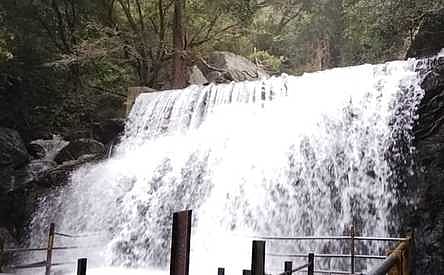 சுருளி அருவியில் சுற்றுலாப் பயணிகள் குளிக்க அனுமதி