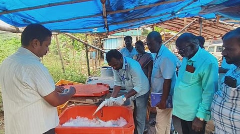 புதுக்கோட்டை மீன் மாா்க்கெட்டில் வியாழக்கிழமை சோதனை செய்த உணவுப் பாதுகாப்பு மற்றும் மாநகராட்சி சுகாதார அலுவலா்கள்.