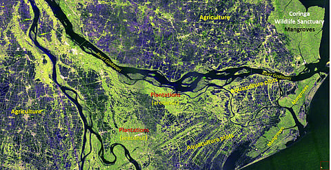கோதாவரி ஆற்றுப் படுகை