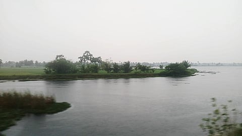 கோடியக்கரையில் 203. 4 மி. மீ மழை பதிவு