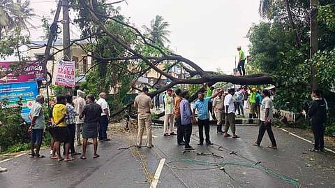சீா்காழியில் ஞாயிற்றுக்கிழமை கன மழை மற்றும் காற்றால் தேசிய நெடுஞ்சாலையின் குறுக்கே மரம் முறிந்து விழுந்தது.  

