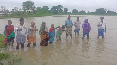 மழை நீரில் மூழ்கிய பயிரை காட்டும் விவசாயிகள்.

