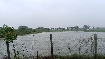 கோப்புப் படம்