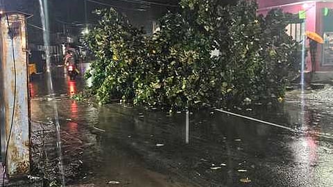 திருவாடானை அருகேயுள்ள மல்லிக்குடி கிராமத்தில் சனிக்கிழமை இரவு பெய்த மழையால் சேதமடைந்த ராஜேந்திரன் வீடு. 