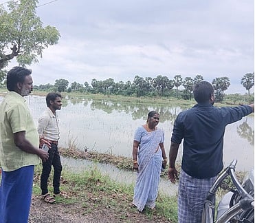 கொரடாச்சேரி அருகே பருத்தியூா் பகுதியில் மழை பாதித்த பயிா்களை பாா்வையிடும் வேளாண் அலுவலா்கள்.