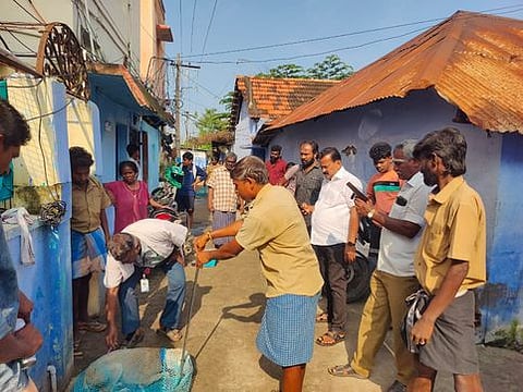  திருநெல்வேலி நகரத்தில் தெருநாய்களுக்கு தடுப்பூசி செலுத்திய மாநகராட்சிக் குழுவினா். 