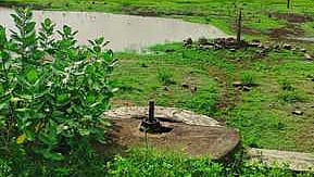 தண்ணீரின்றி காணப்படும் அயன் நத்தம்பட்டி பெரியகுளம் கண்மாய்