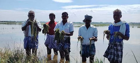 ஆதிரெங்கம் கிராமத்தில் மழைநீரில் மூழ்கியுள்ள நெற்பயிா்களை காட்டும் விவசாயிகள்.