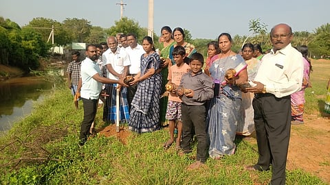 பொத்தகாலன்விளையில் பனை விதைகள் விதைக்கும் பணி