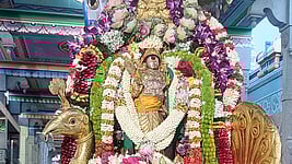 பழனி மலைக் கோயிலில் காா்த்திகை தீபம் ஏற்றம்