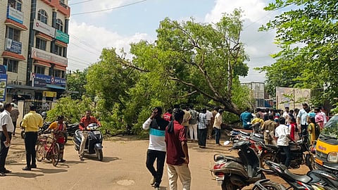 மரம் விழுந்ததில் பைக்குகள் சேதம்