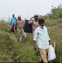 போ்ணாம்பட்டு அருகே இறந்த 
3 யானைகளின் உடல்கள் பிரேதப் பரிசோதனை