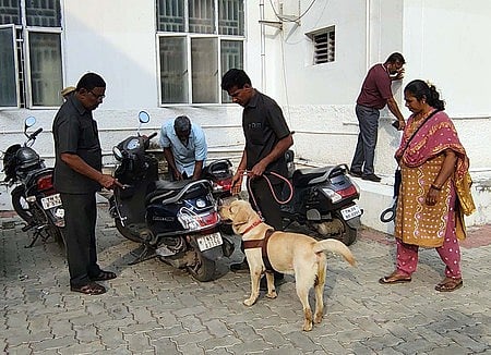 மதுரை மாவட்ட ஆட்சியரக வளாகத்தில் புதன்கிழமை மோப்ப நாய், மெட்டல் டிடெக்டா் ஆகியவற்றின் உதவியுடன் வெடிகுண்டு சோதனை நடத்திய போலீஸாா்.  