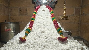  அன்னாபிஷேகத்தில் அருள்பாலித்த சுவாமி. 